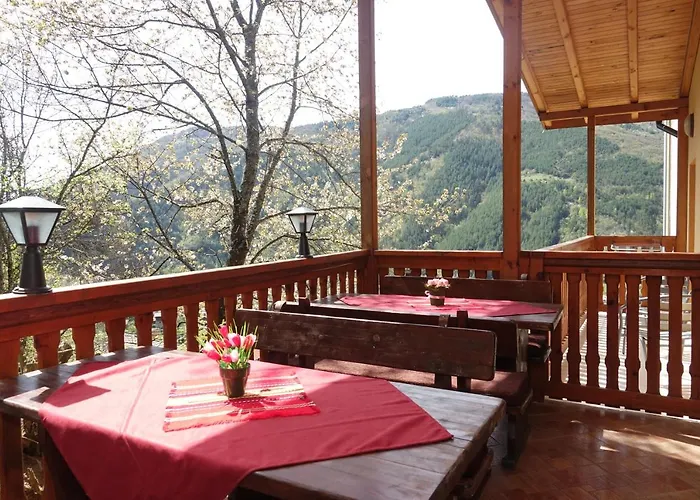 горски кът Dewin